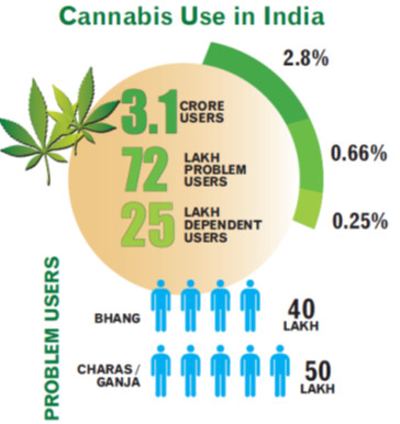 Cannabis Use